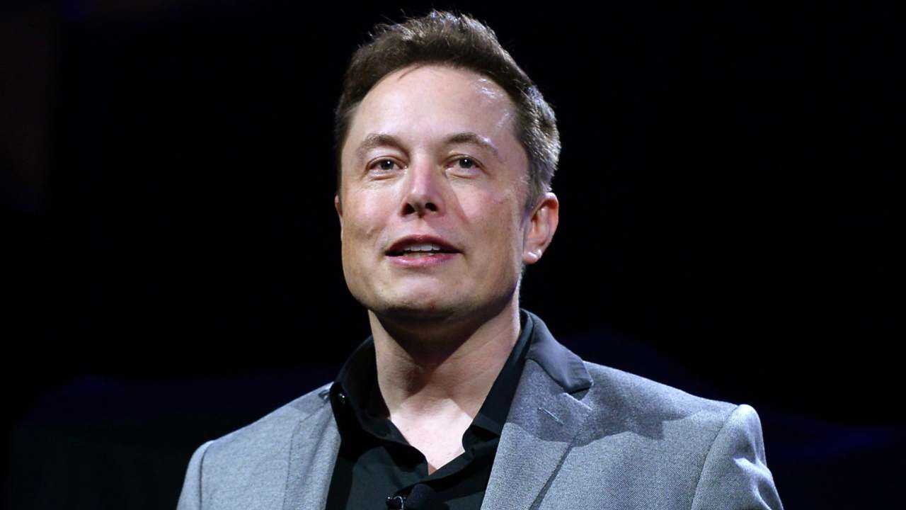 elon musk (web source)